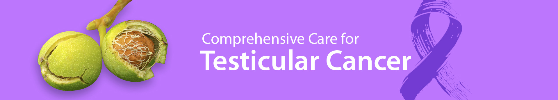 Medicaoncology Testicular Cancer